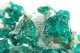 Sparkling Dioptase Crystal on Quartz - Sanda, Congo #306098-2